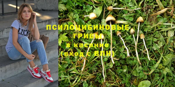 a pvp Волоколамск