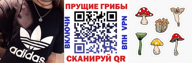Галлюциногенные грибы ЛСД  mega онион  Калининск  хочу наркоту 